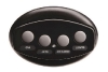 Pentair iS4 Spa-Side Remote Control | 4 Button Black 50 ft Cable | 521891