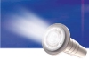 Pentair GLOBRITE® White Pool and Spa LED Light| 12V 100' Cord | 602104