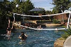 SR Smith Swim N€™ Spike Salt Pool Friendly Volleyball Residential Game | with 20' Net and Anchors | Black | S-VOLY20